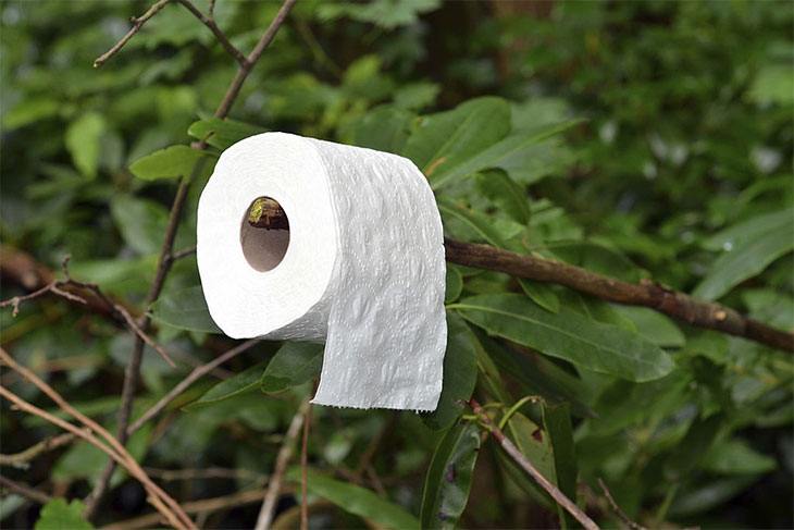 camping without toilet paper