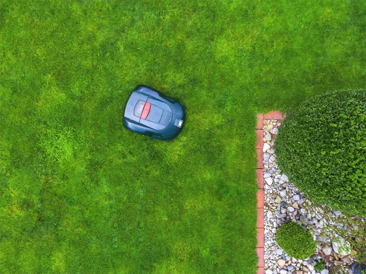 best robot lawn mower for the money