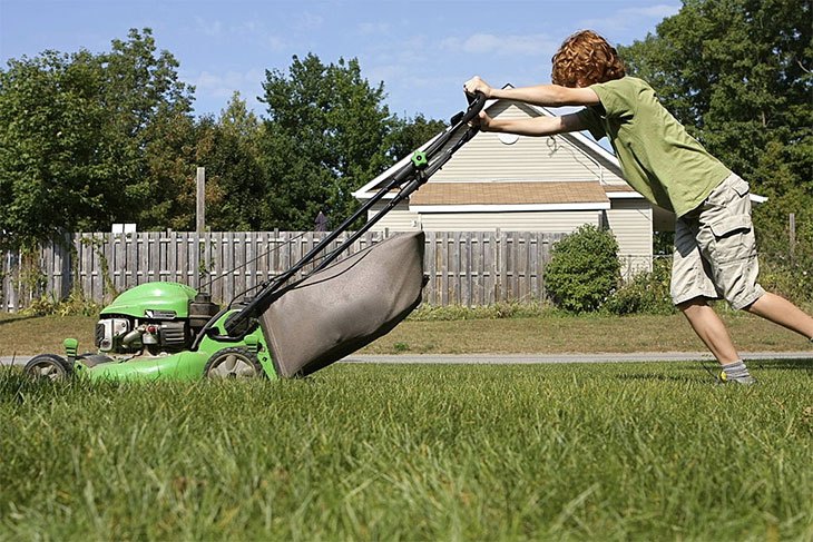 best affordable cordless lawn mower