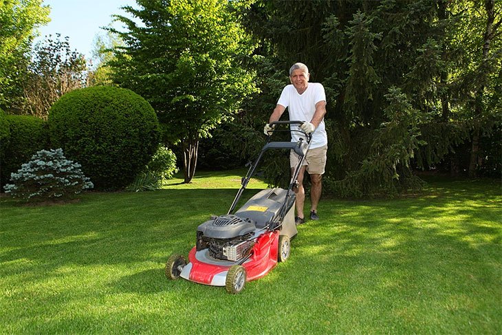 best electric lawn mower to buy