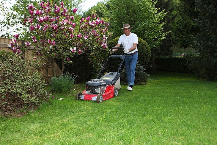 best cordless lawn mower amazon