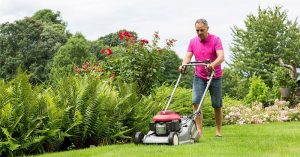 How to Choose the Best Roller Lawn Mower? All You Must Know