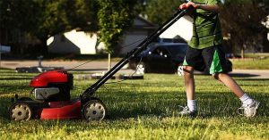 How to Pick The Best Petrol Lawnmower: Everything You Need To Know