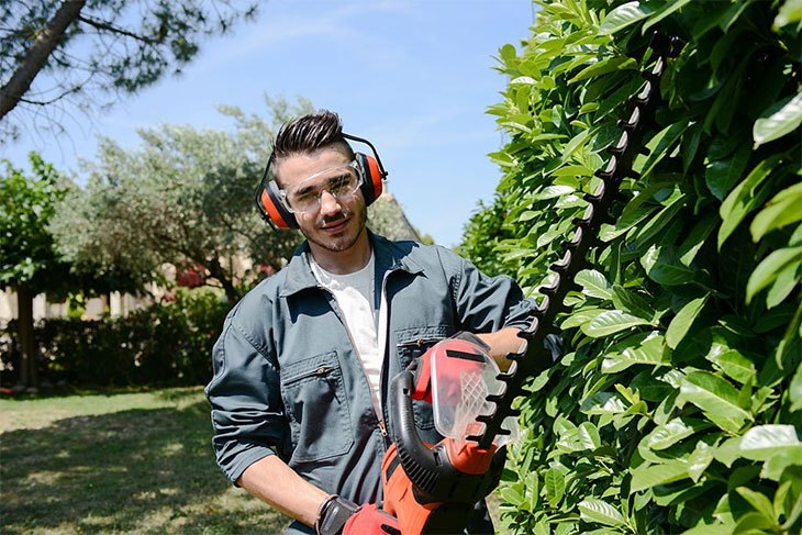 best electric hedge trimmer for thick branches