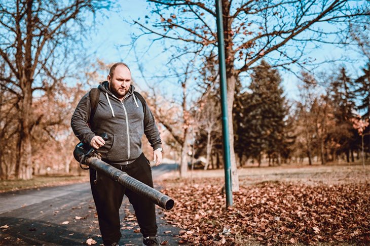 what is the best cordless leaf blower to buy