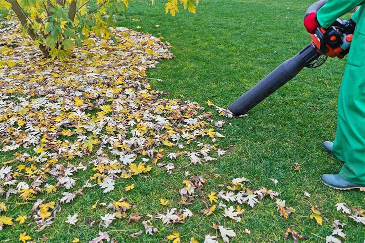 best cordless leaf blower for drying car