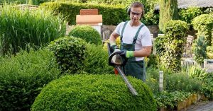 Top 7 List of the Best Hedge Trimmer for Thick Branches