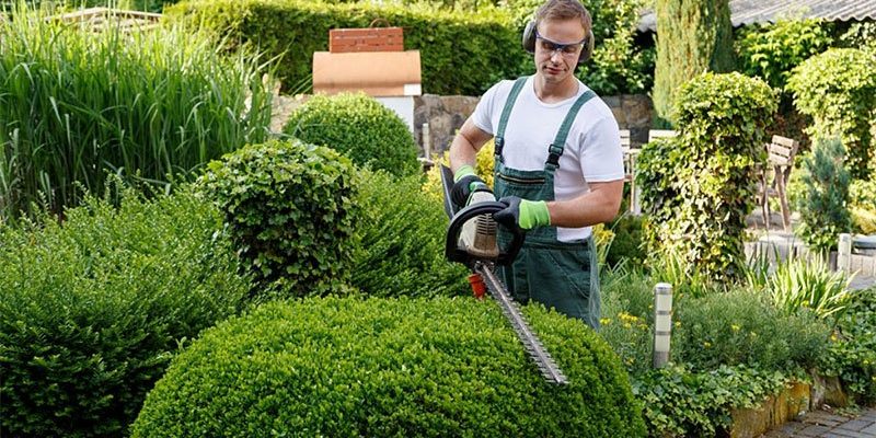 best hedge trimmer for thick branches