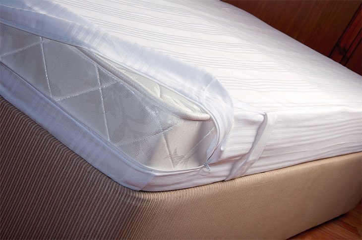 best mattress bed bug protector