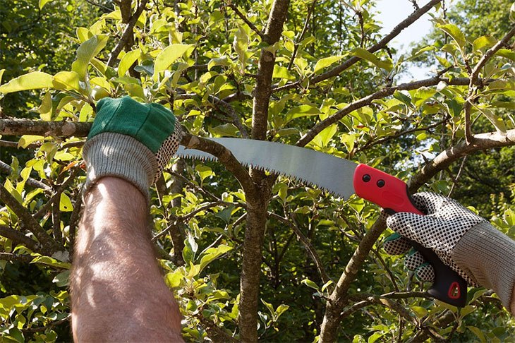 the best folding pruning saw