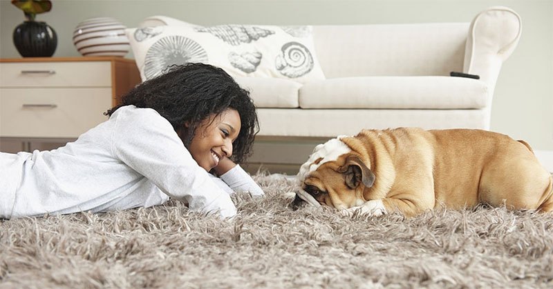 Ultimate Comfort With the Best Carpet Underlay - Find Your Best Pick