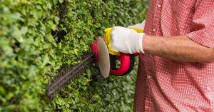Enjoy Gardening With the Best Brush Cutter for Brambles