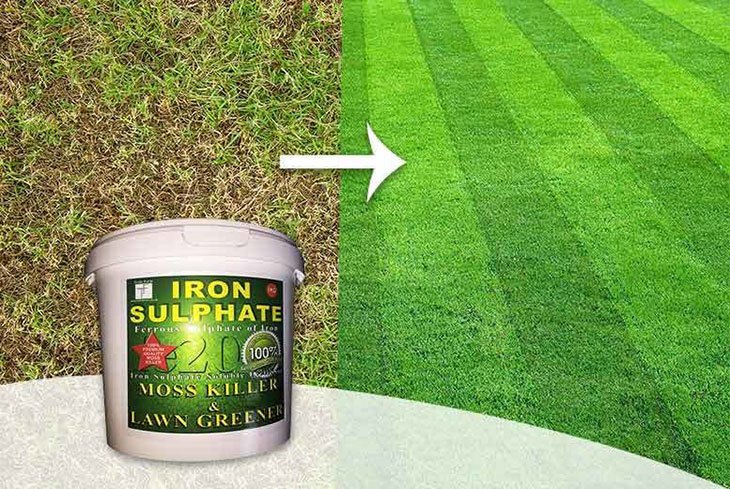 best moss and weed killer for lawns