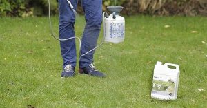 Get Spotless Results With The Best Moss Killer For Lawns