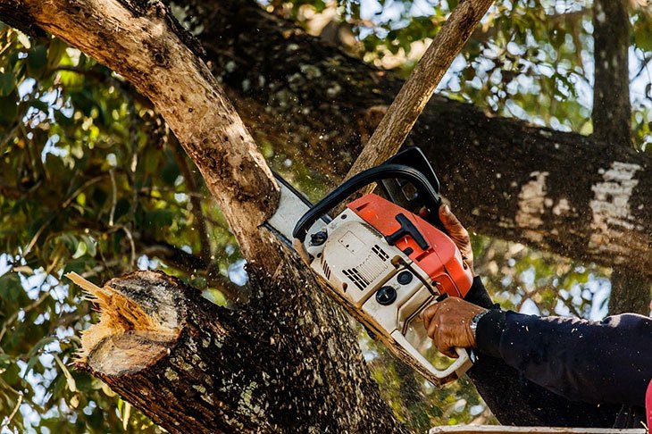 best petrol chainsaw for home use