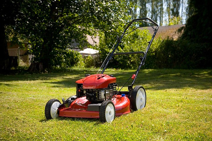 best electric lawn mower for stripes