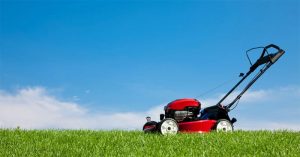 The Best Lawn Scarifier For the Perfect Lawn