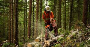 Ultimate Protection With the Best Chainsaw Trousers