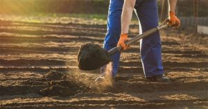 Getting The Best Results With The Best Garden Spade