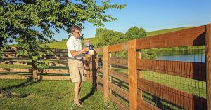 Refresh Your Fence With the Best Fence Sprayer