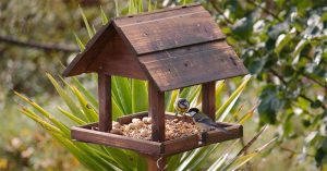 Best Bird Tables for the Most Beautiful Garden (Complete 2022 Guide)